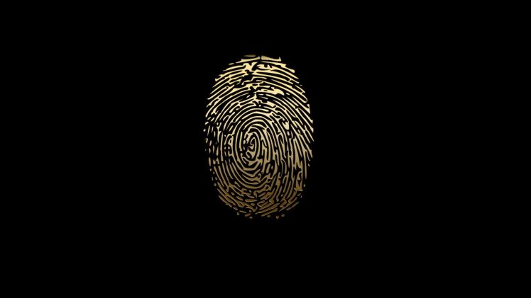 fingerprint, Data, Biometrics HD Wallpaper Desktop Background
