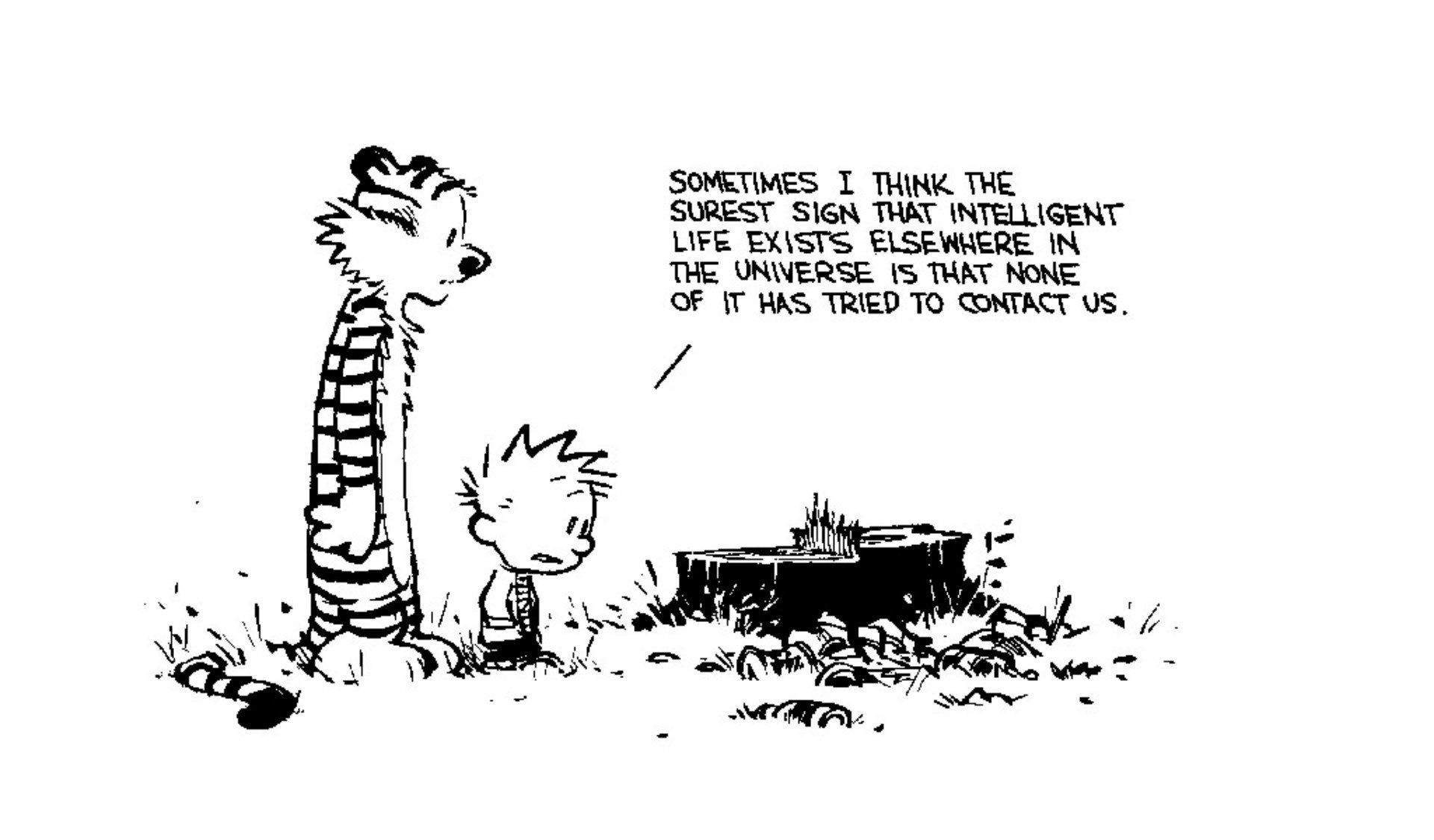 Text Comics Monochrome Calvin And Hobbes Tree Stump Cartoon Wallpapers Hd Desktop And Mobile Backgrounds