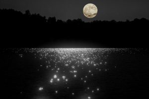 moonlight, Night, Water