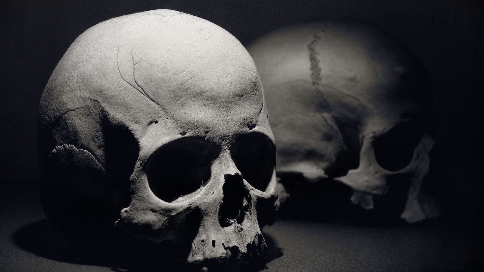 skull, Bones Wallpaper