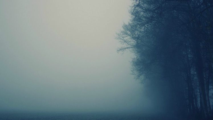 mist, Trees HD Wallpaper Desktop Background