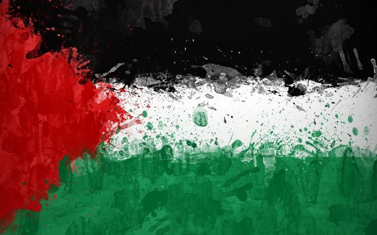 Palestine, Flag HD Wallpaper Desktop Background