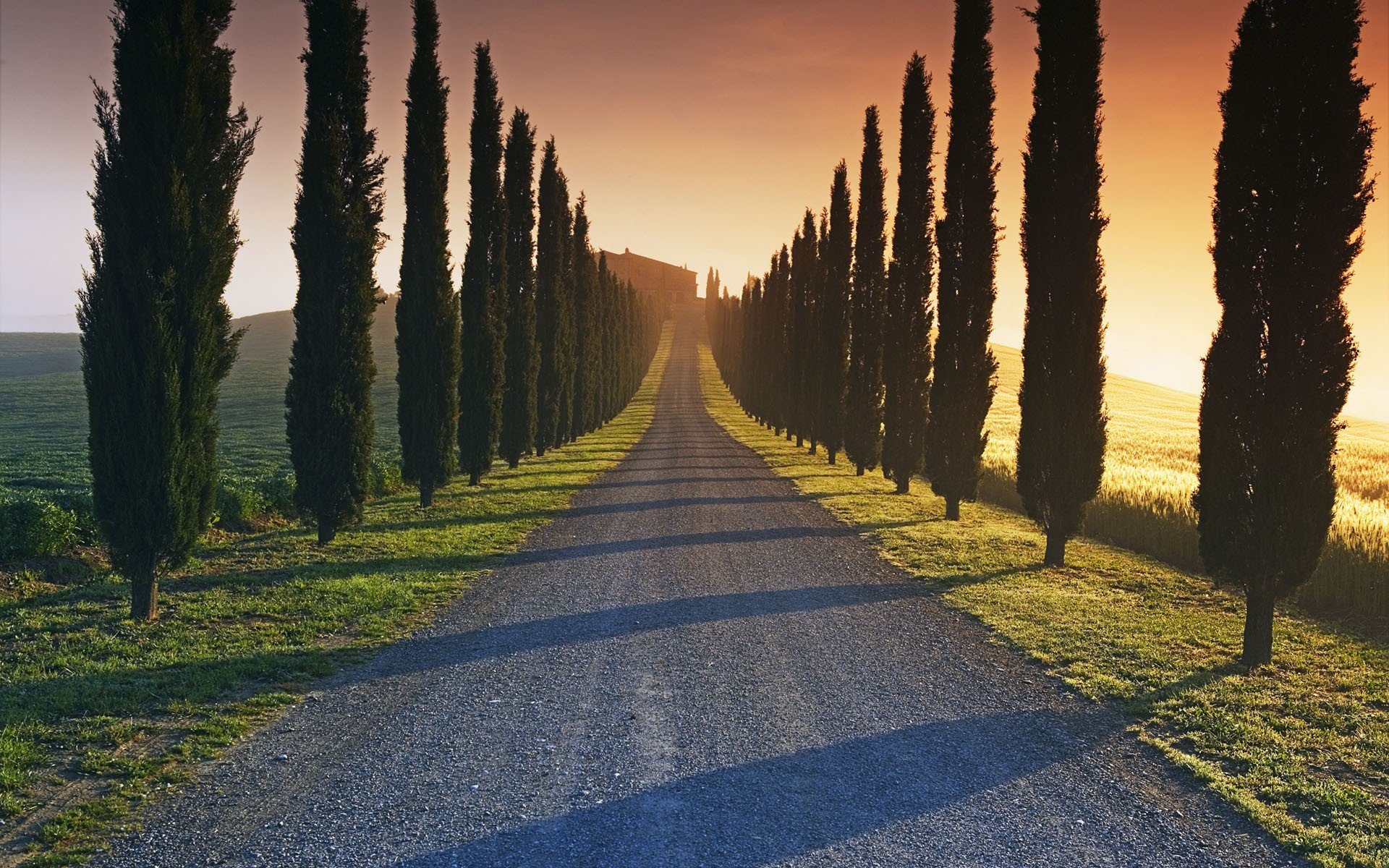 road Wallpaper