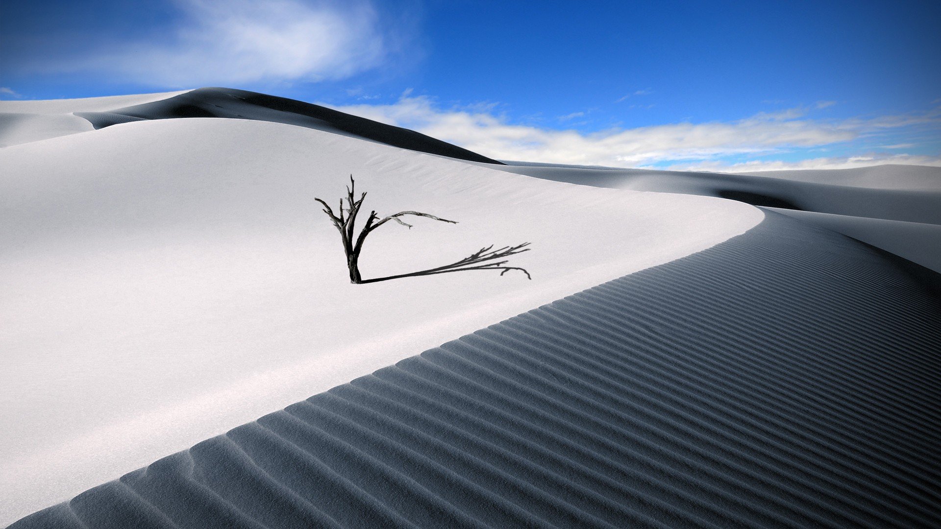 desert Wallpaper