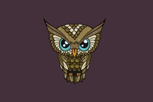 owl, Minimalism