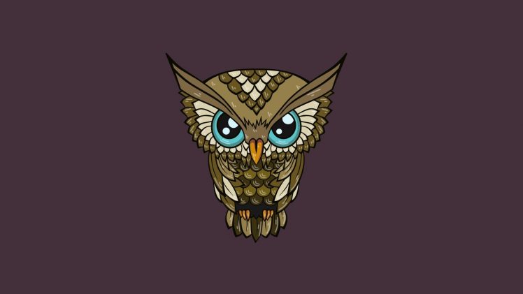 owl, Minimalism HD Wallpaper Desktop Background