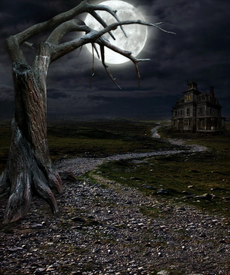 house, Moon, Night HD Wallpaper Desktop Background