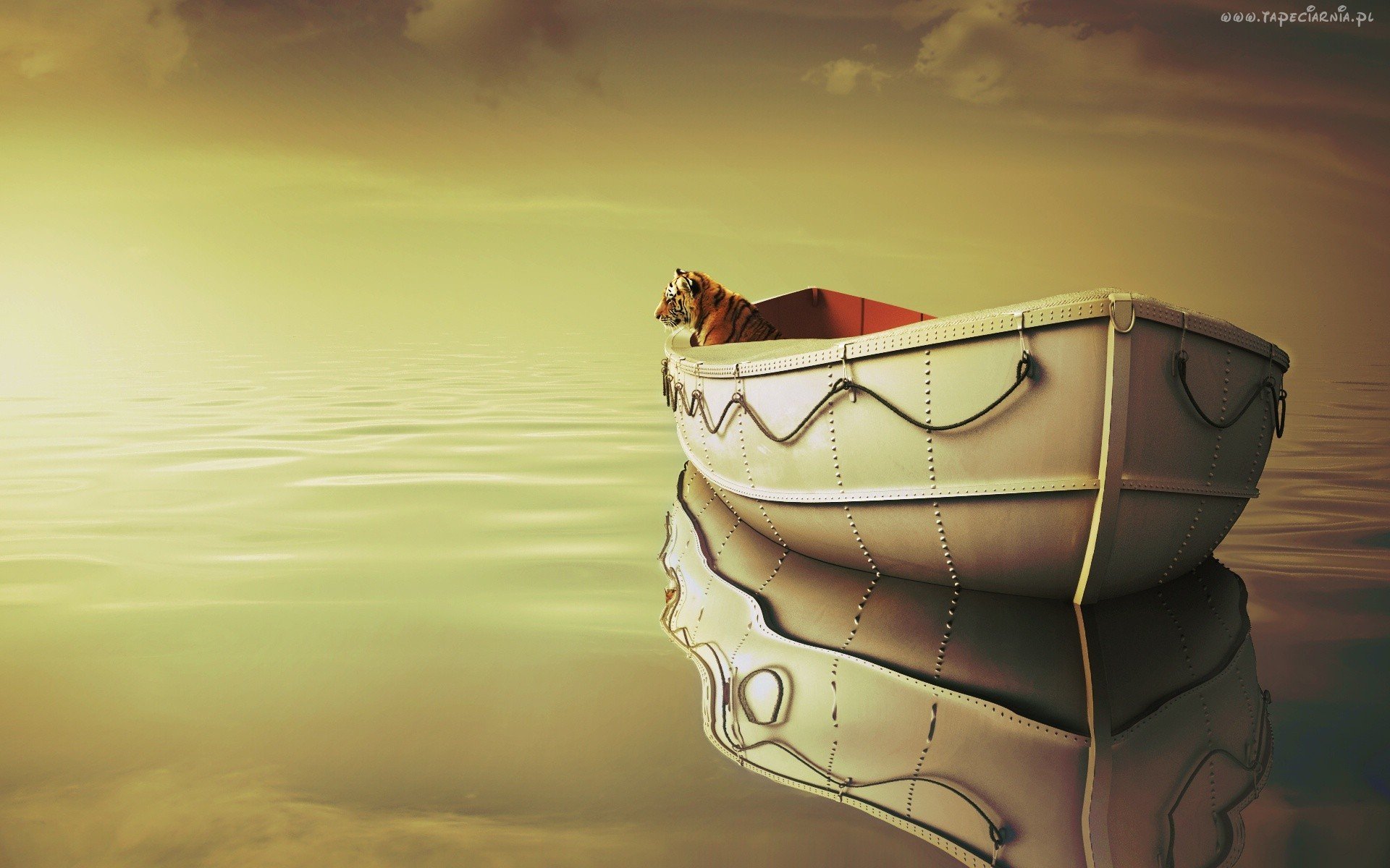 watch life of pi full movie free online