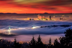 city, Cityscape, Mist, Sunrise, San Francisco