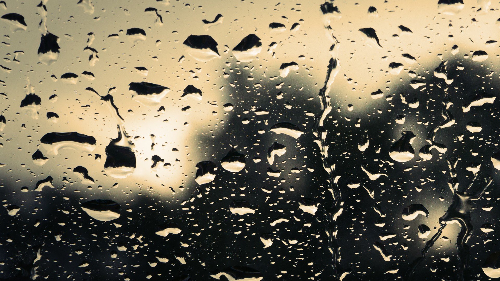 rain, Water drops Wallpaper