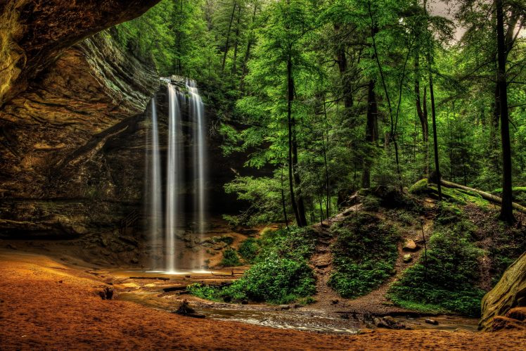 trees, Waterfall HD Wallpaper Desktop Background