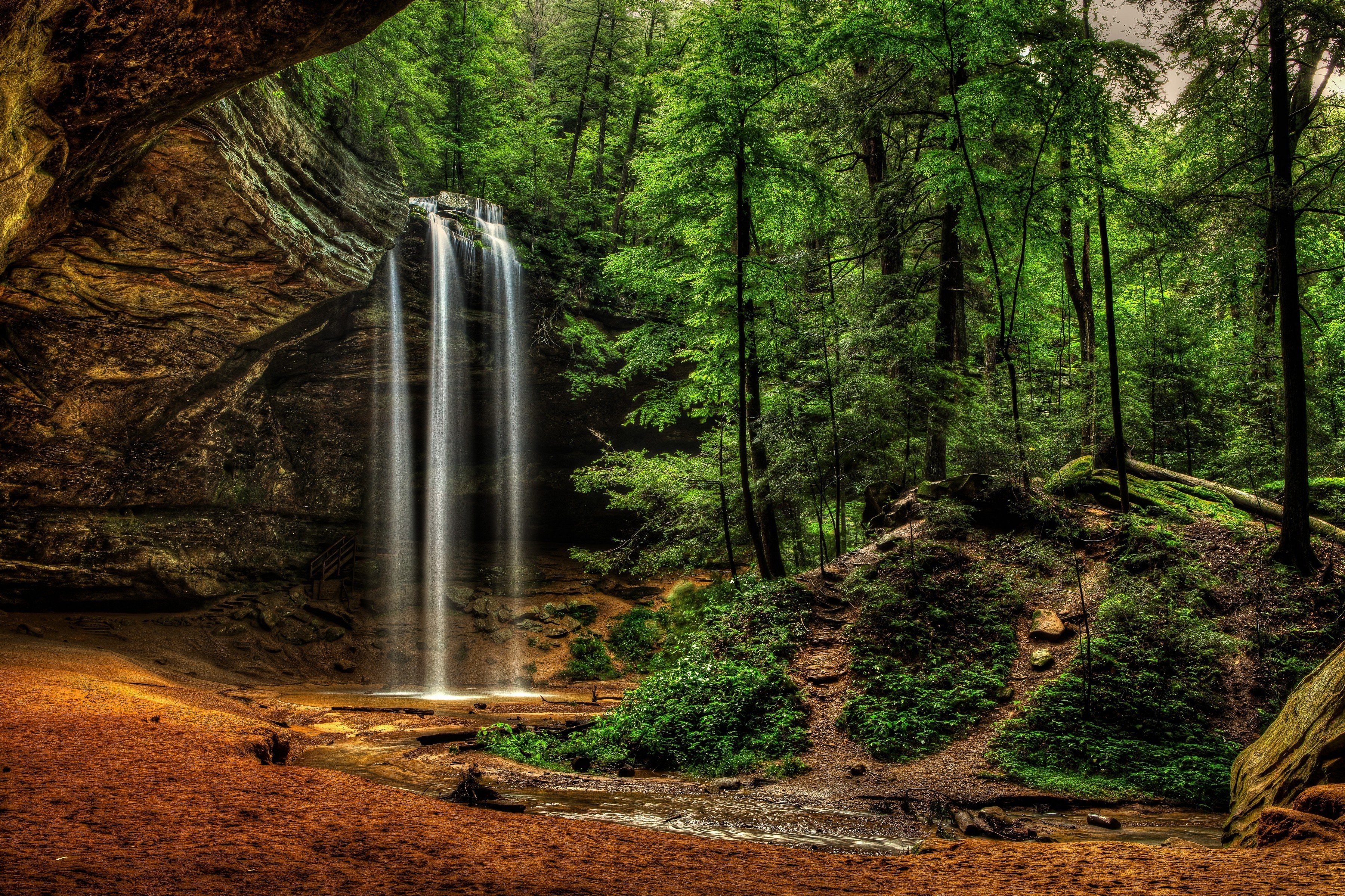 trees, Waterfall Wallpaper