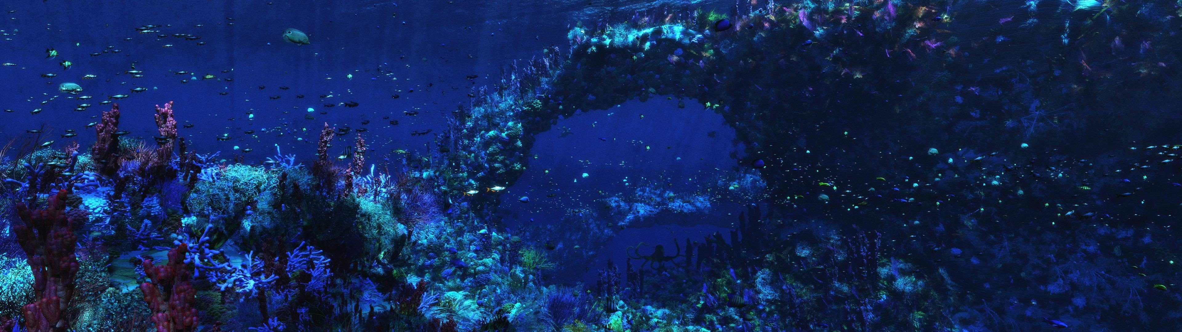 multiple display, Underwater Wallpaper
