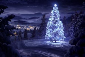 snow, Night, Lights, Christmas Tree