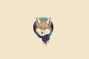 fox, Minimalism
