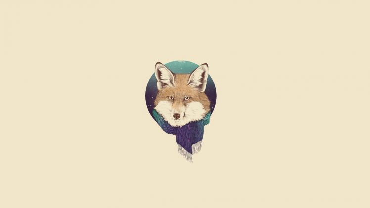 fox, Minimalism HD Wallpaper Desktop Background