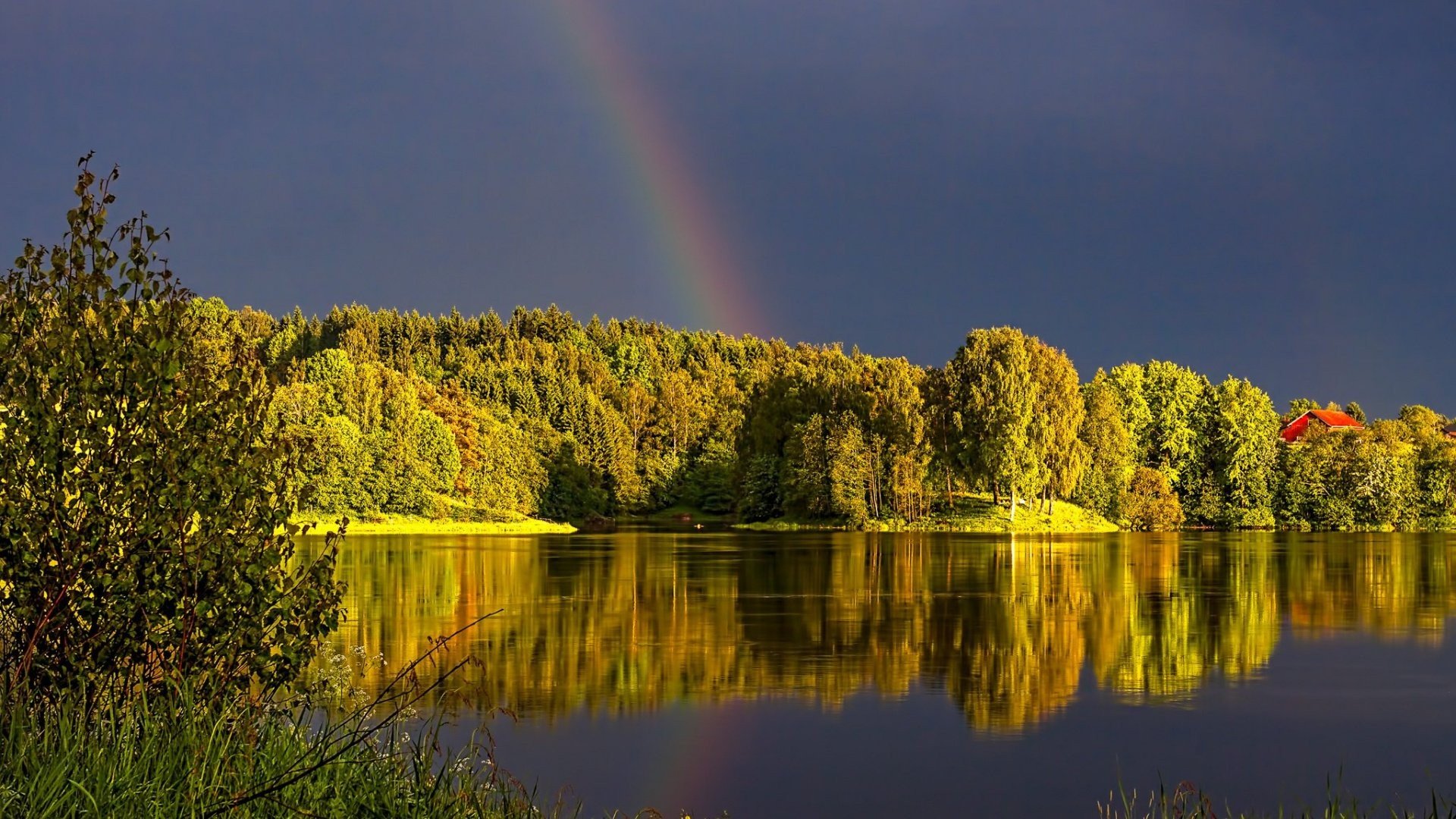 rainbows Wallpaper