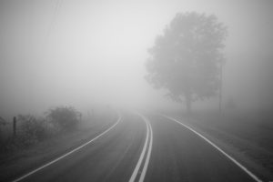 road, Mist, Trees, Monochrome, Photography