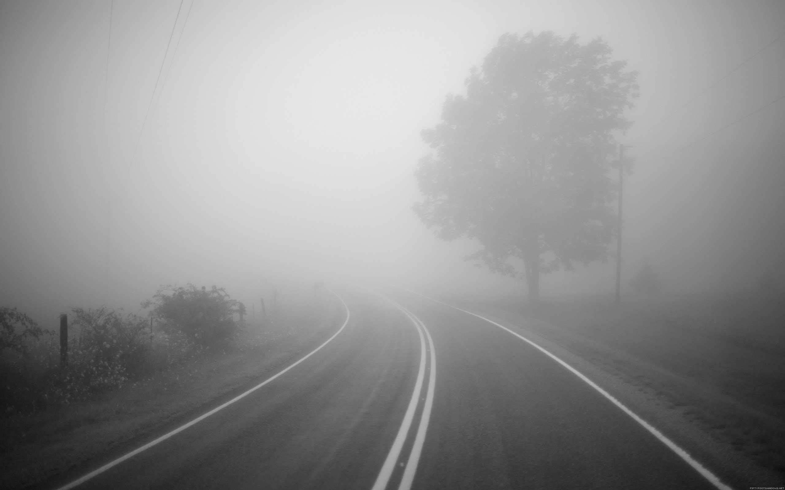 road, Mist, Trees, Monochrome, Photography Wallpaper