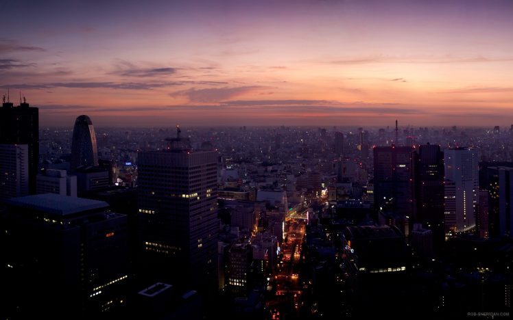 photography, Urban, City, Building, Cityscape, Street, Dusk, Lights, City lights, Street light, Tokyo HD Wallpaper Desktop Background