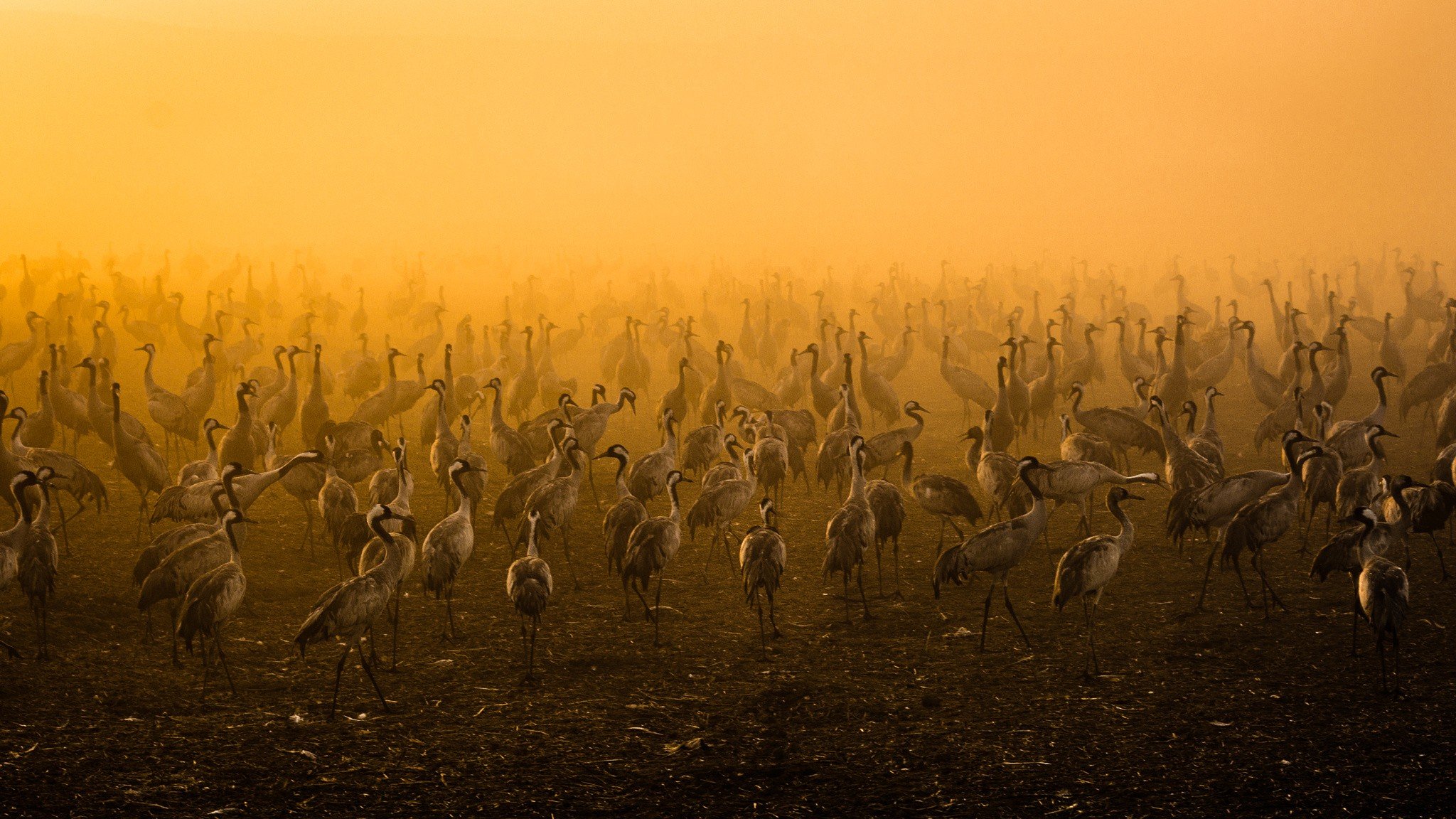 photography Wallpaper