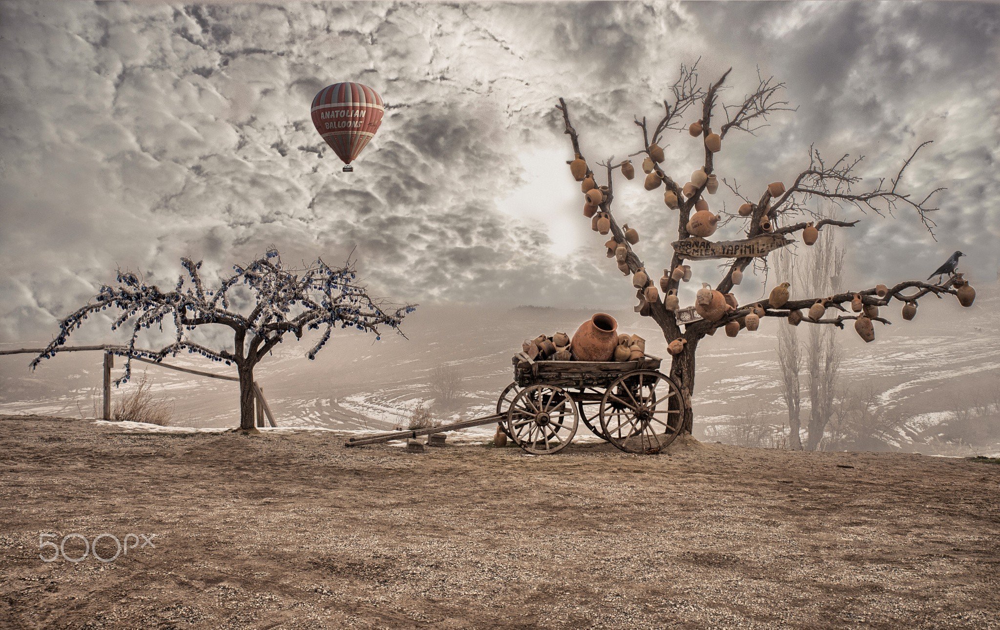 photography Wallpaper