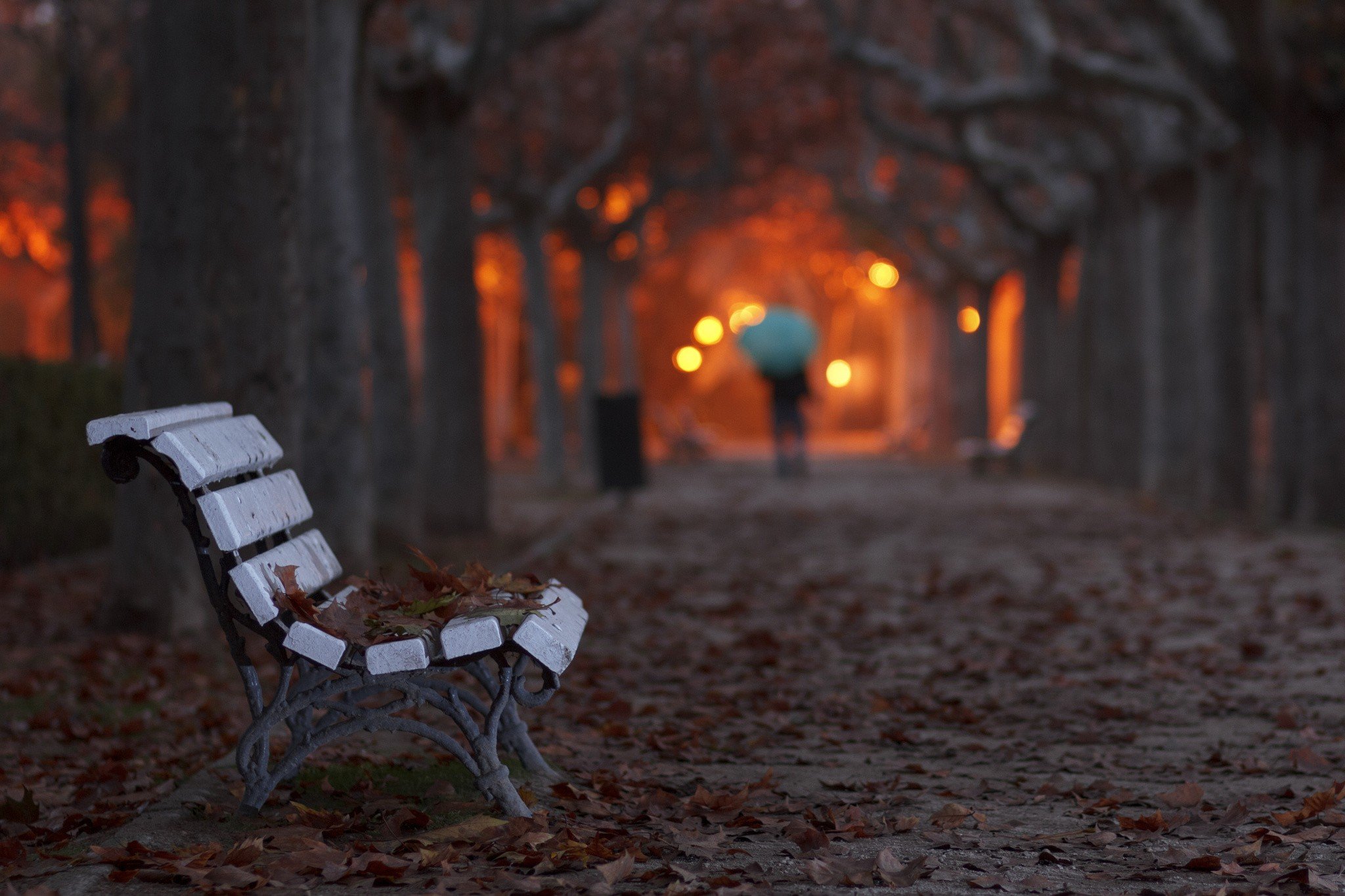 photography, Road, City Wallpaper