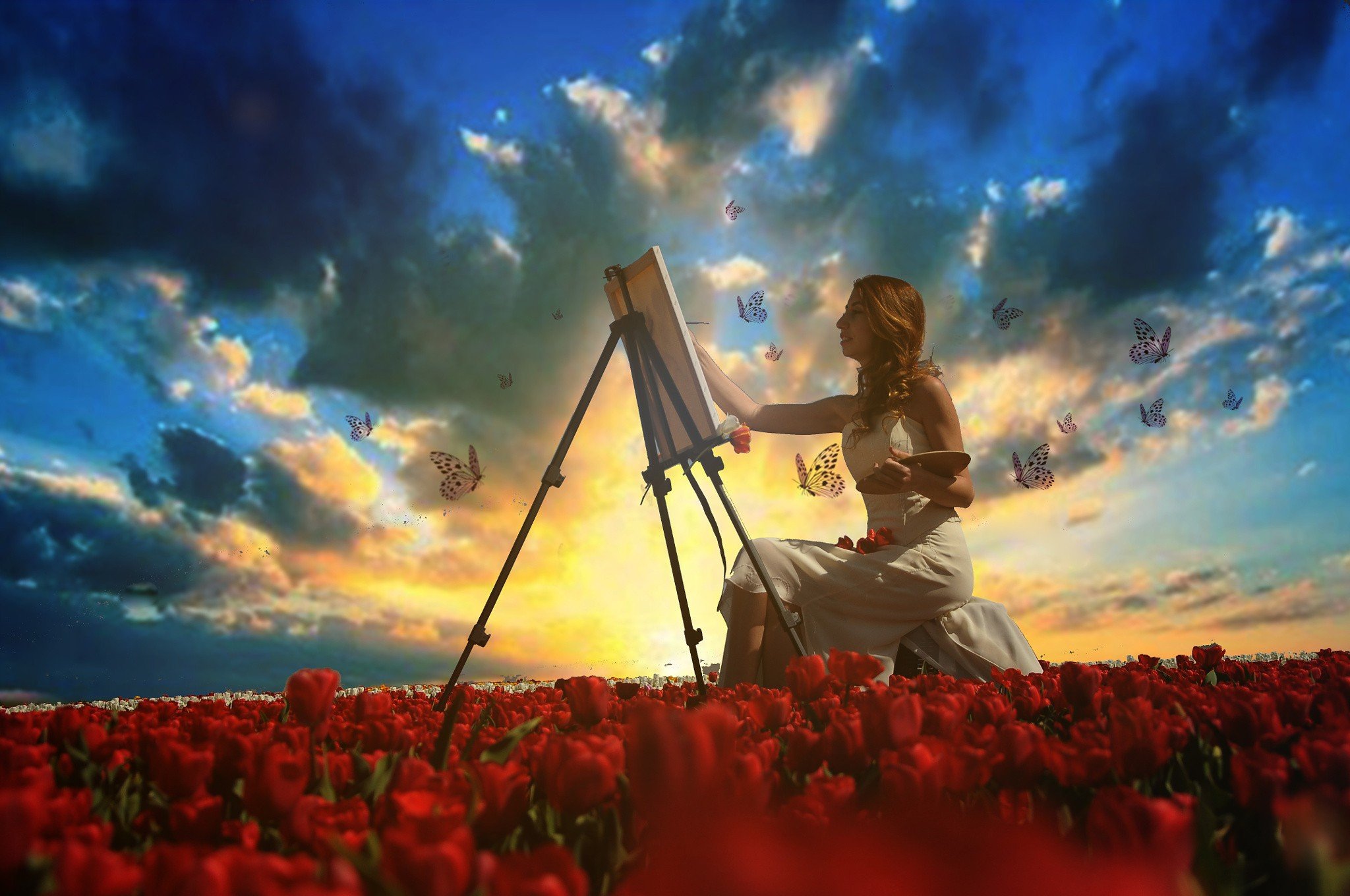 photography Wallpaper