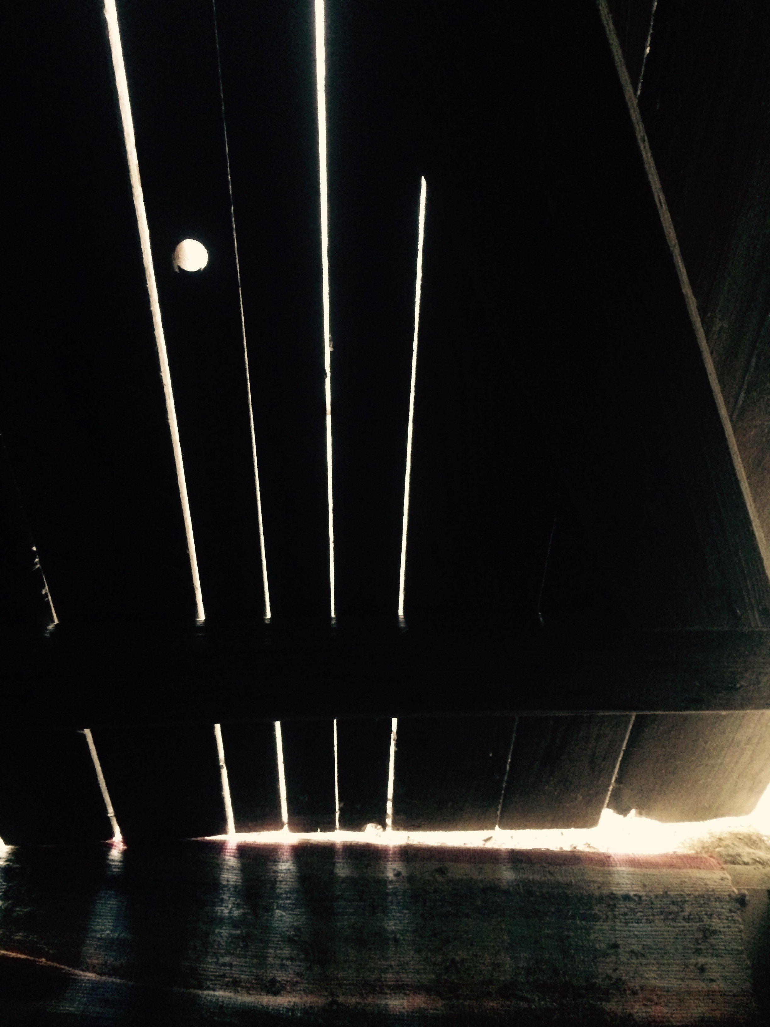 wood, Natural light Wallpaper