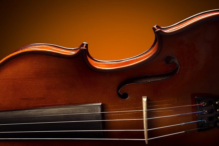 violin, Musical instrument HD Wallpaper Desktop Background