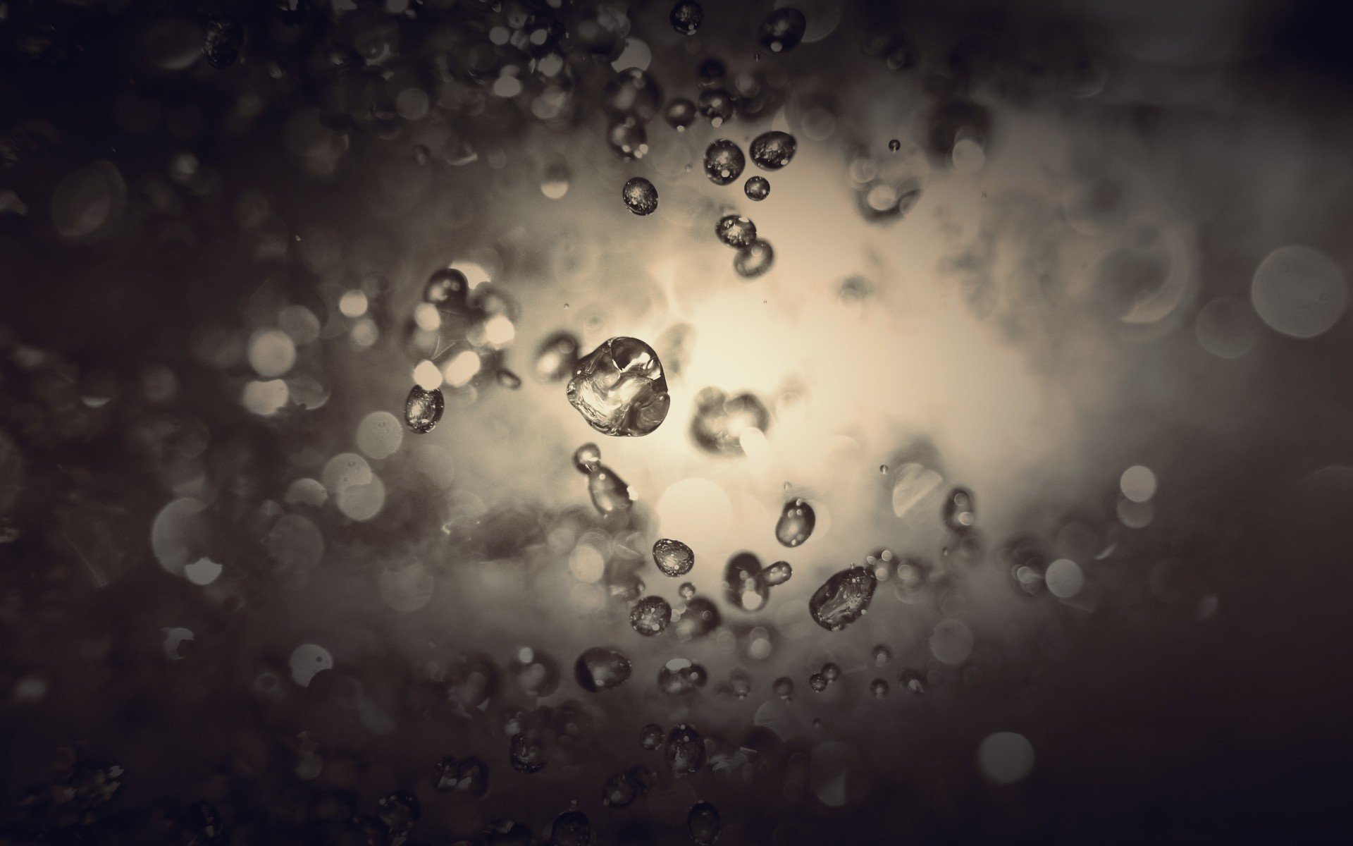 photography, Water drops Wallpaper