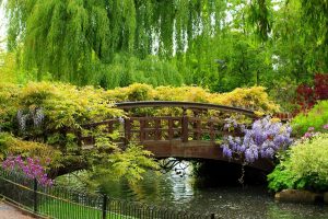 trees, Bridge, Garden