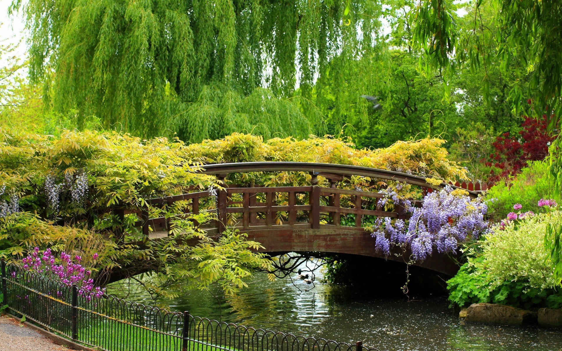 trees, Bridge, Garden Wallpaper