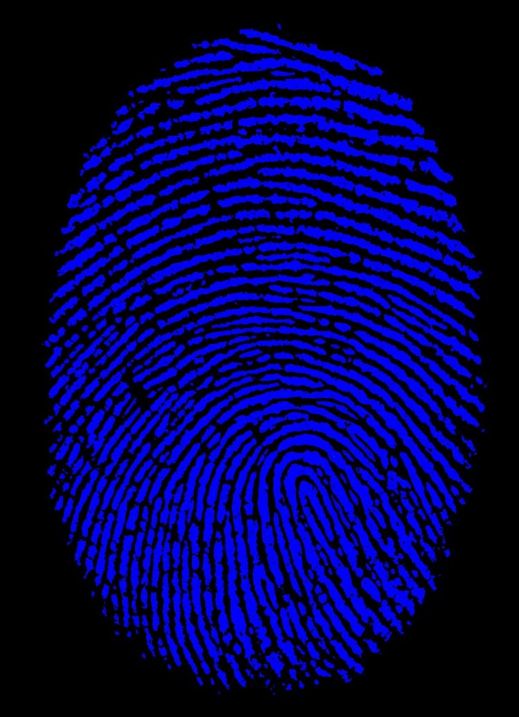 fingerprints HD Wallpaper Desktop Background