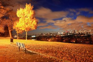 photography, Urban, Night, Lights, Cityscape, Fall, Leaves, Trees, Bench