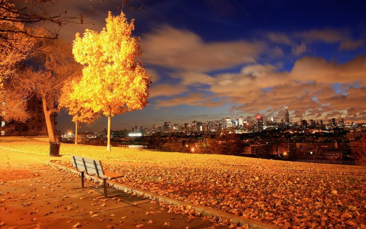 photography, Urban, Night, Lights, Cityscape, Fall, Leaves, Trees, Bench HD Wallpaper Desktop Background