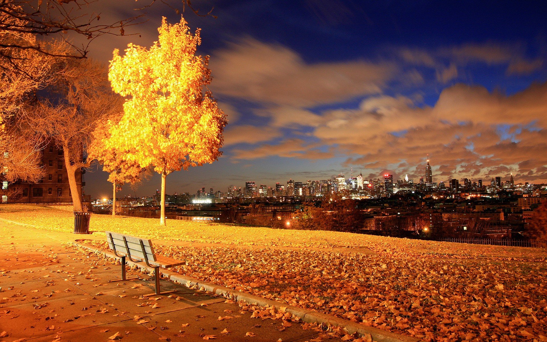 photography, Urban, Night, Lights, Cityscape, Fall, Leaves, Trees, Bench Wallpaper