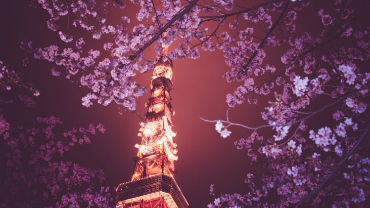 Japan, Tokyo Tower, Hanami HD Wallpaper Desktop Background