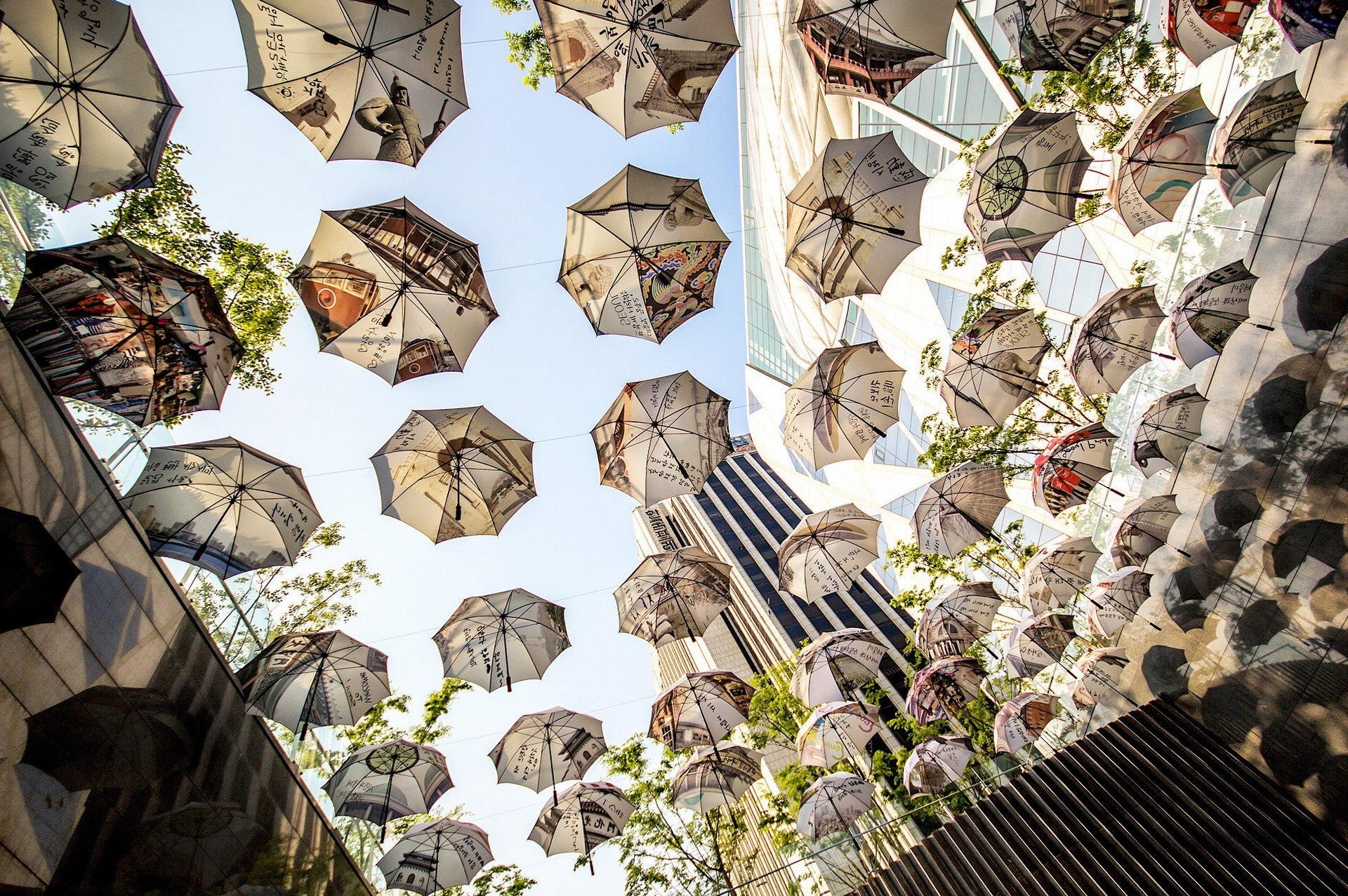 city, Umbrella Wallpaper