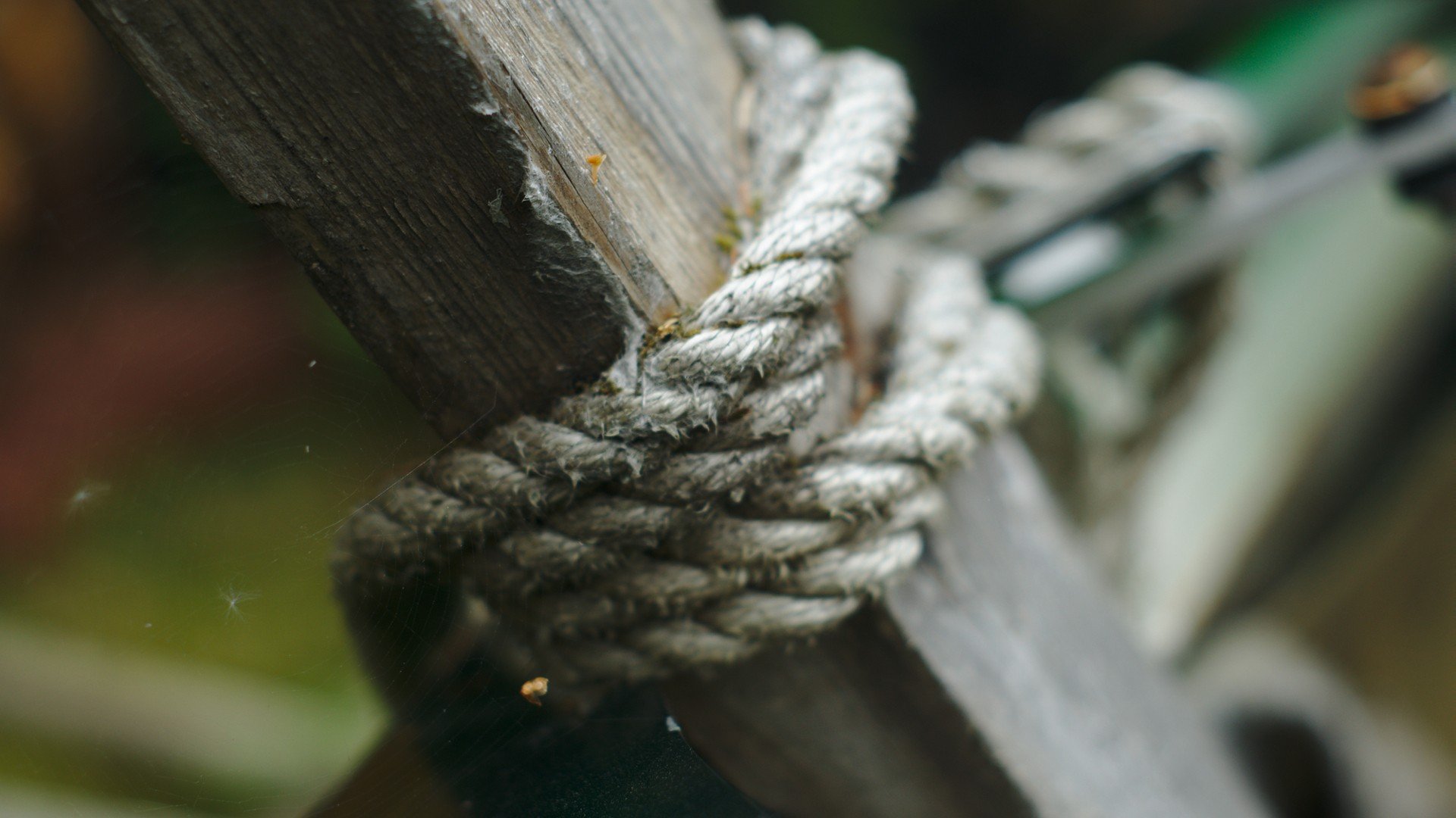 ropes, Knot Wallpapers HD / Desktop and Mobile Backgrounds