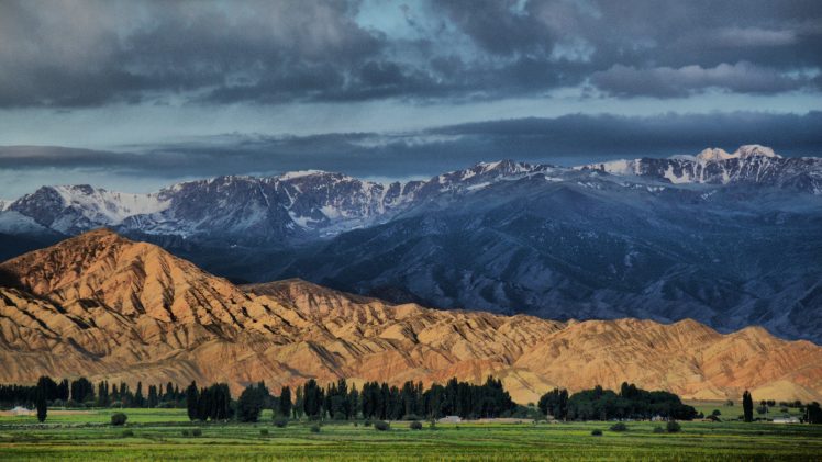 Kyrgyzstan, Tien Shan Mountains, Trees HD Wallpaper Desktop Background