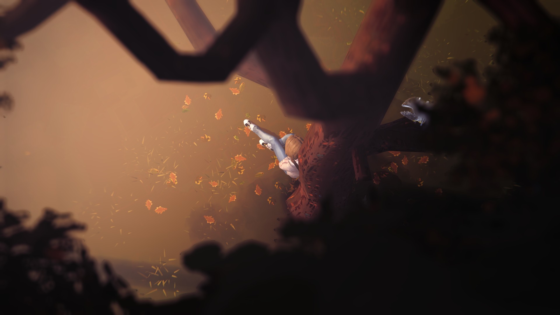 Max Caulfield, Life Is Strange Wallpaper