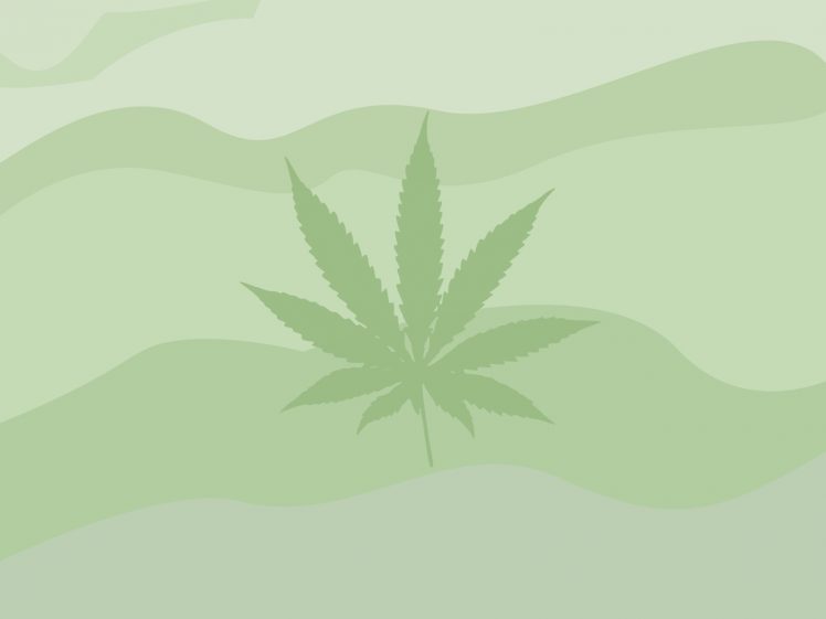 cannabis HD Wallpaper Desktop Background