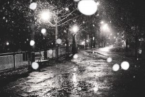 photography, Monochrome, Street, Urban, Night, Lights, Snow, Trees