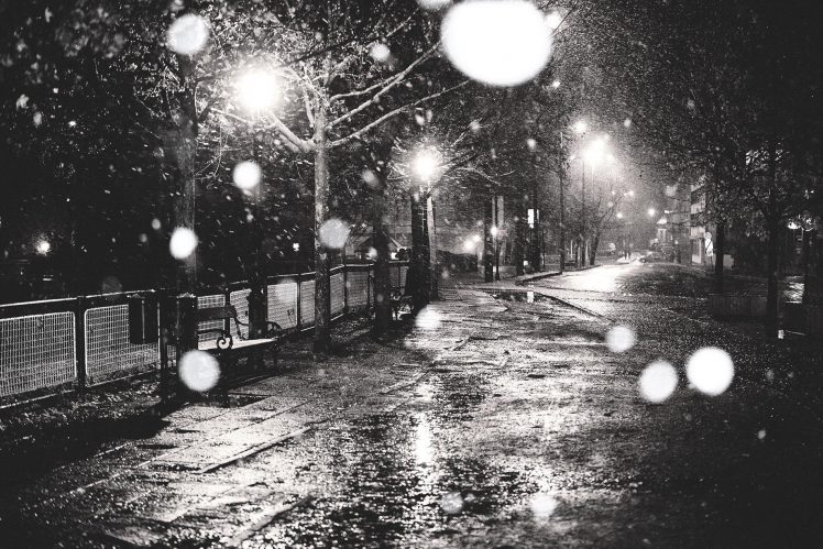 photography, Monochrome, Street, Urban, Night, Lights, Snow, Trees HD Wallpaper Desktop Background