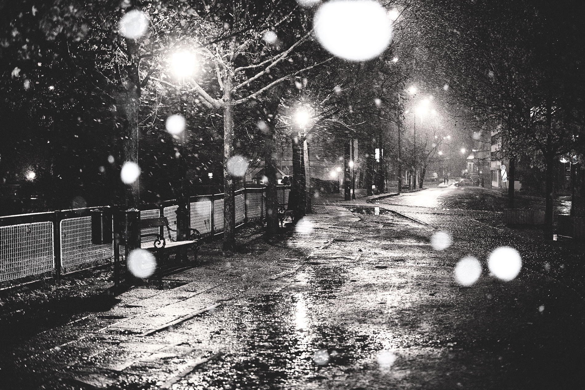 photography, Monochrome, Street, Urban, Night, Lights, Snow, Trees Wallpaper