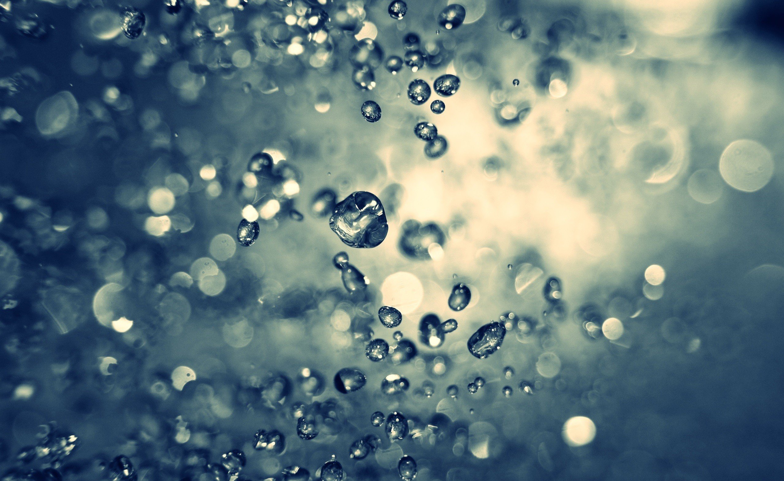 photography, Macro, Water drops Wallpaper