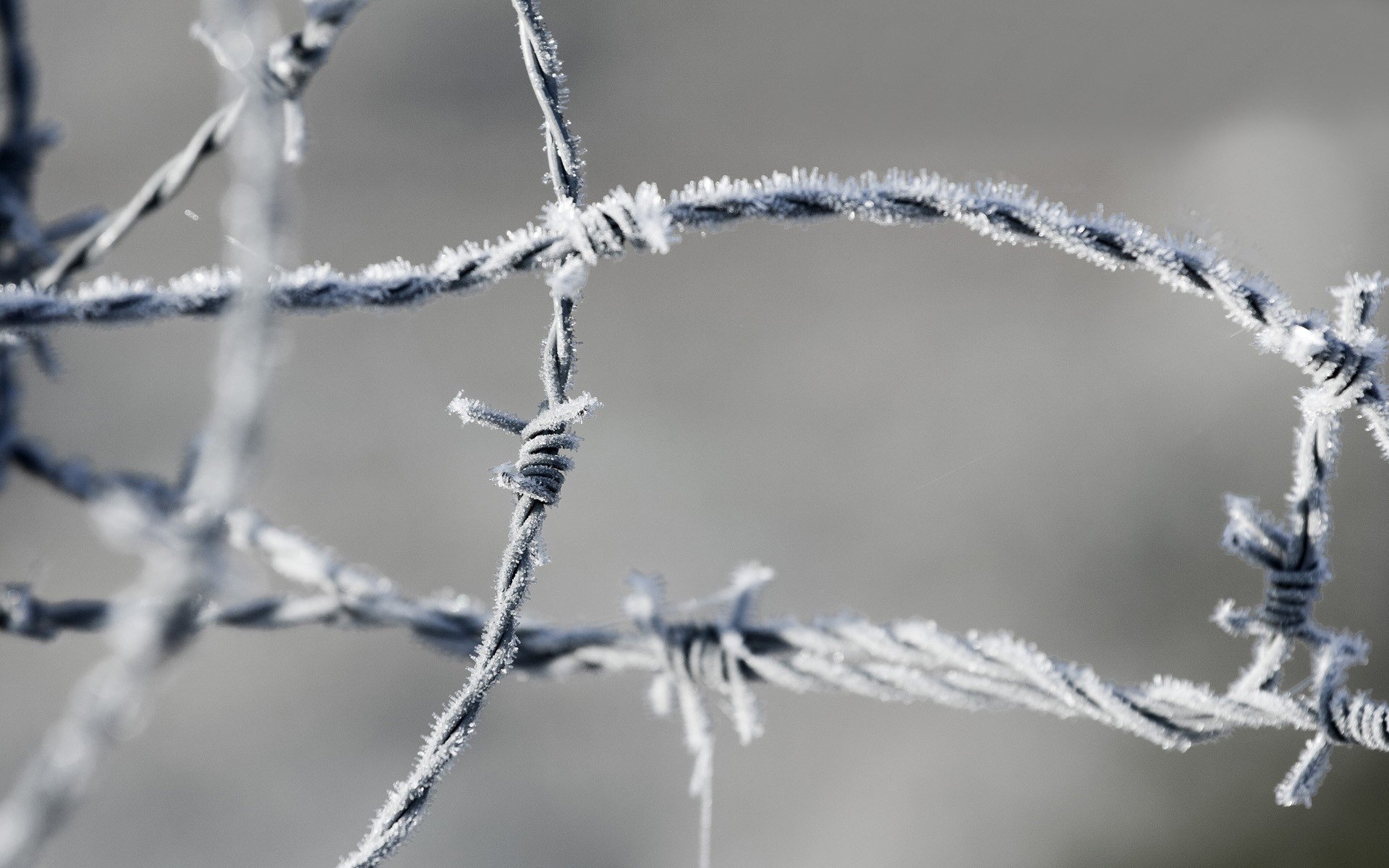 barbed wire Wallpaper