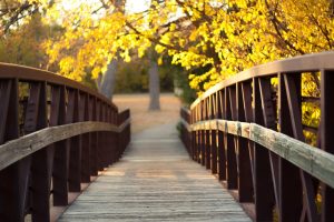 bridge, Wood, Trees, Leaves, River