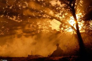 National Geographic, Trees, Sun rays, Mist